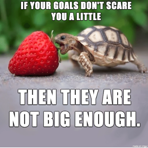 if-your-goals-dont-scare-you-a-little-then-they-21807861